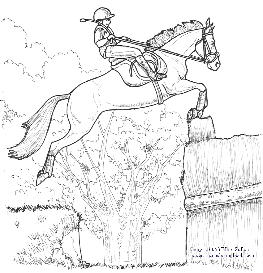 EquestrianColoringBooks